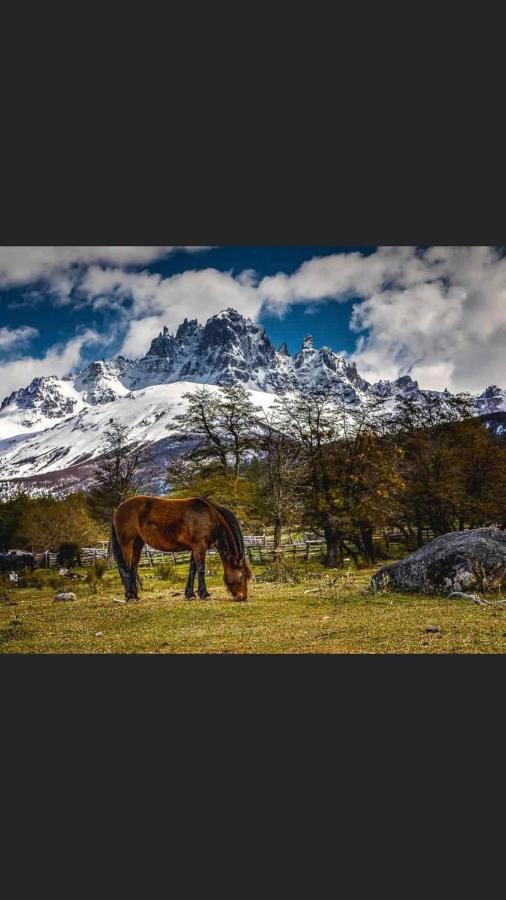 Hostel Basecamp Cerro Castillo Вийя Серо Кастийо Екстериор снимка